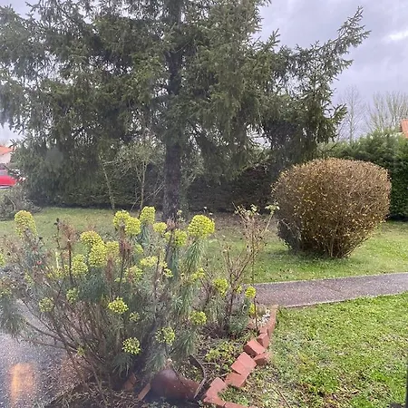 Hotel Maison De Ophelia Perigne